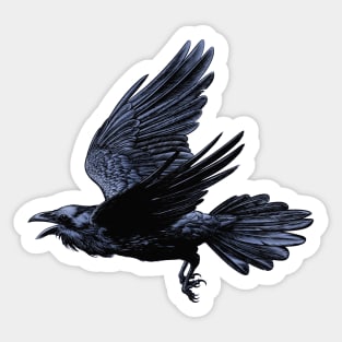 Raven in Flight Sticker